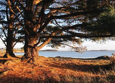 Golfe du Morbihan