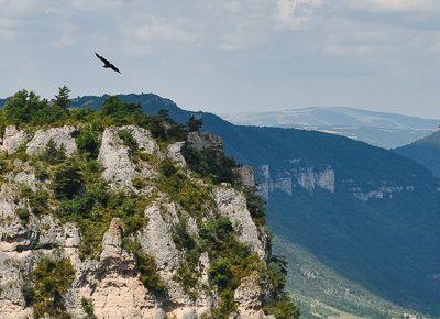 Au fil du Tarn