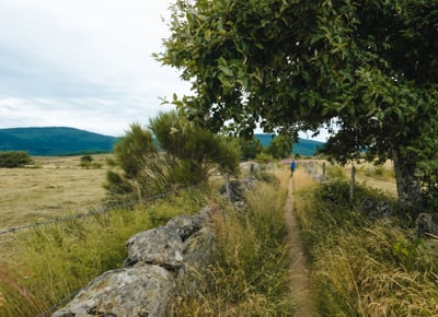 Petit tour sur le Mont Lozère