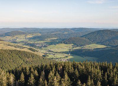 Rando verte en Forêt Noire