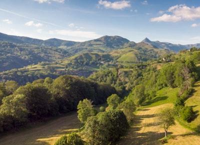 Laveissière, volcans du Cantal