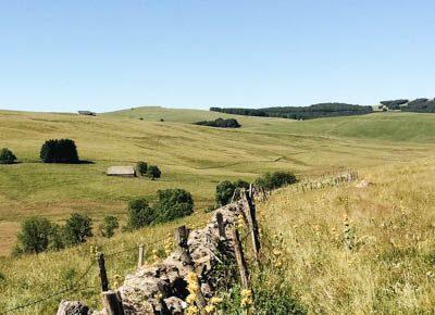 Monts d’Aubrac