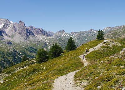 Lacs et alpages de La Clarée