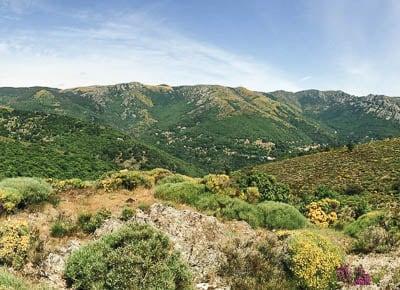 Paysage de Lozère