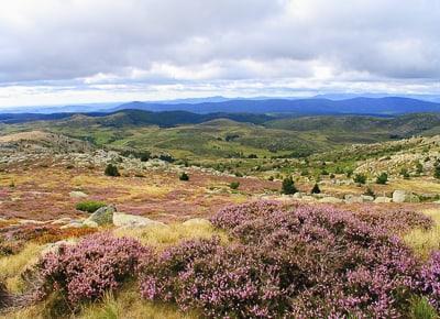 Mont-Lozère et Cévennes