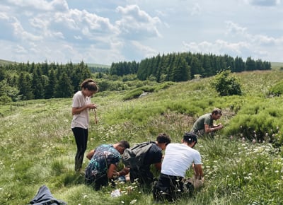 Plantes comestibles et médicinales en Auvergne