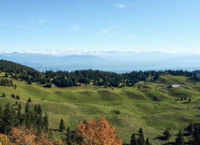 Hautes-Combes du Jura