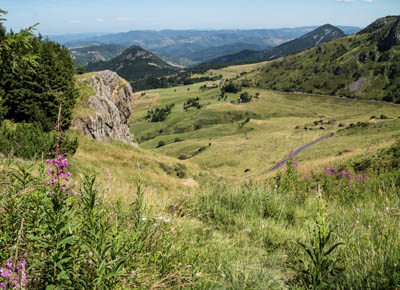 Dégustez l’Ardèche et ses plantes