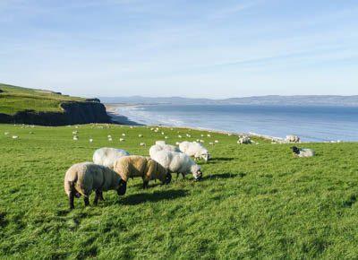 Du Connemara à la Chaussée des Géants