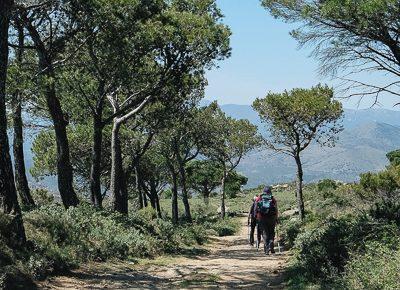 Marche nordique entre Cadaquès et Collioure