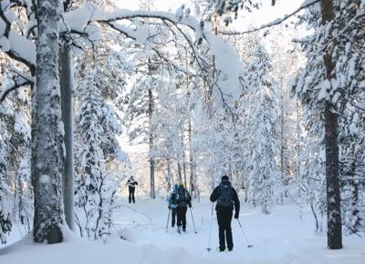 Ski Nordique en forêt, Finlande