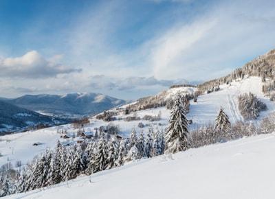 Nouvel An nature entre Vosges et Alsace