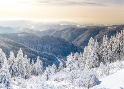 forêt noire allemagne