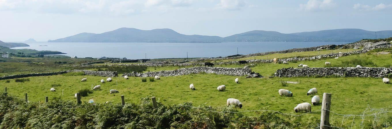 Trek - Péninsules de l\'Ouest irlandais