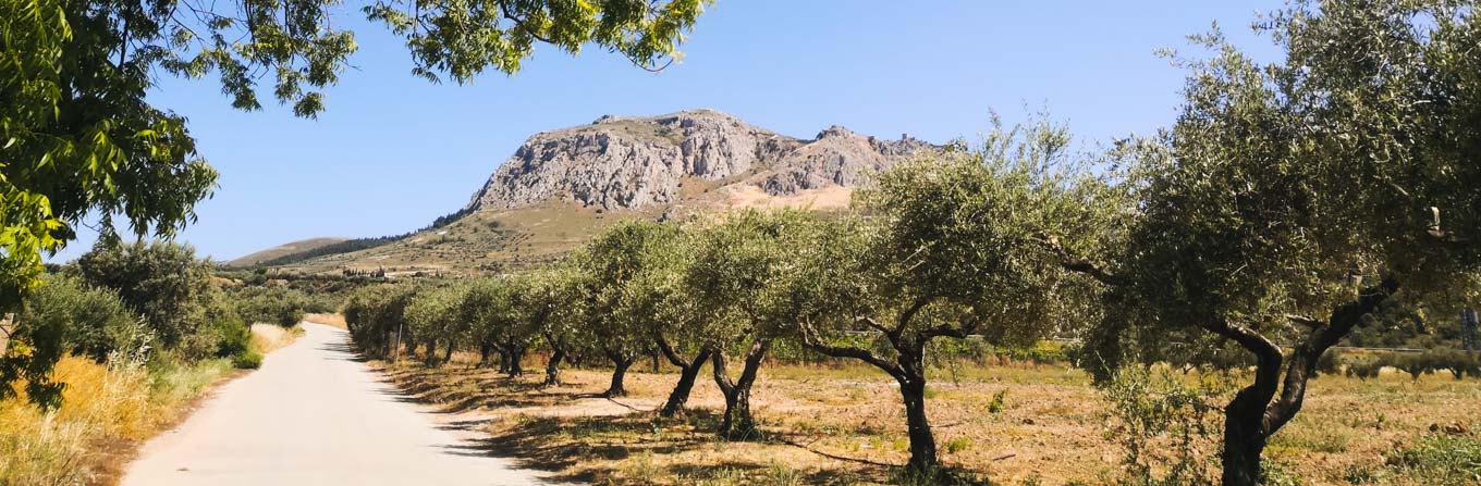 Trek - Delphes, Pélion et Météores