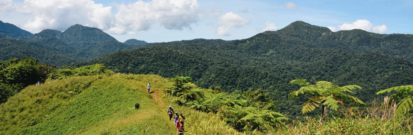 Voyage à pied : Activités Nature en Martinique