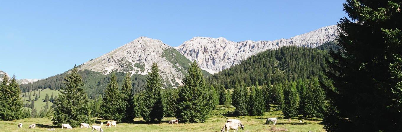 Voyage à pied : Alpes bavaroises, tour de la Zugspitze