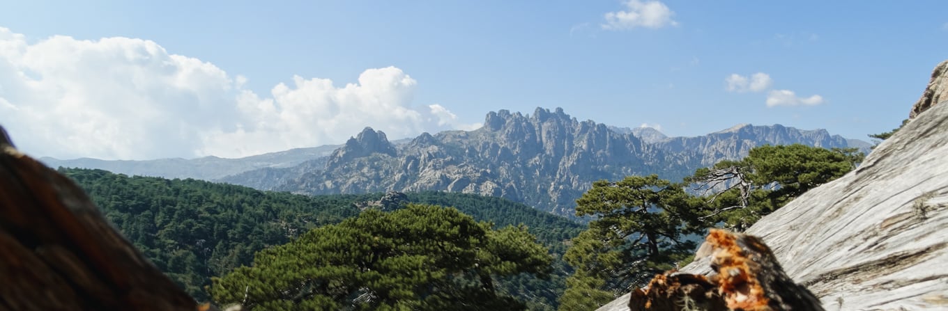 Trek - De l\'Alta Rocca au Golfe de Valinco