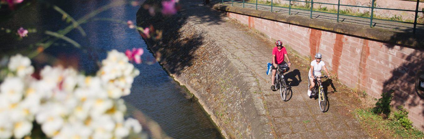 Voyage à vélo - France : Villages et vignobles d\'Alsace à vélo