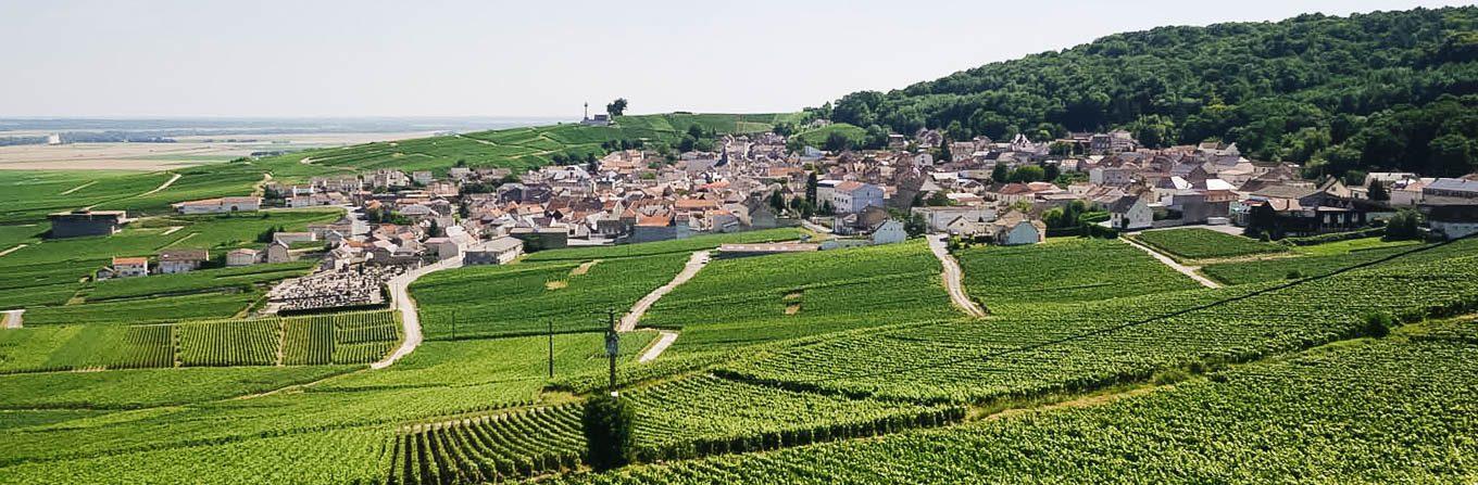 Voyage en véhicule : Bourgogne : Vignoble de Champagne et montagne de Reims à vélo