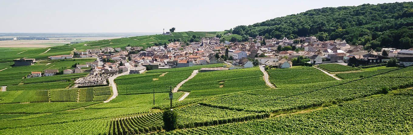 Voyage à vélo - Vignoble de Champagne et montagne de Reims à vélo