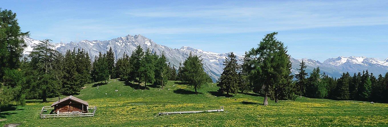 Voyage à pied : Suisse : Les bisses du Valais