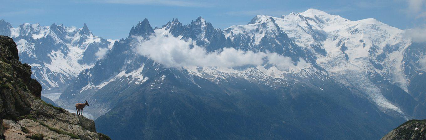 Trek - Tour du Mont-Blanc intégral - 9 jours