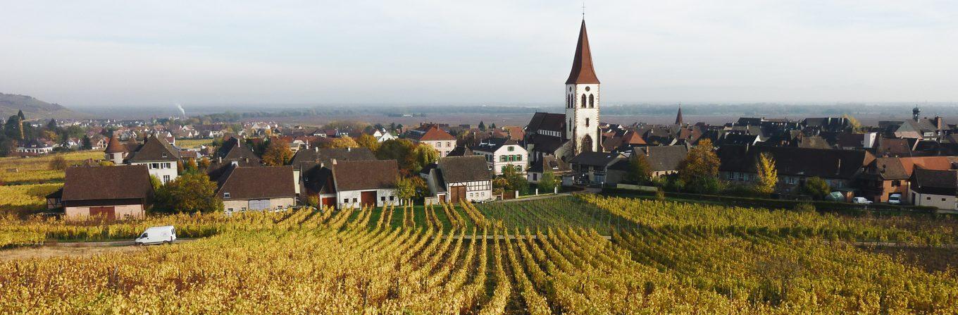 Trek - Villages et vignobles d\'Alsace - 7 jours