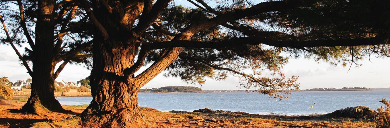 Trek - Golfe du Morbihan