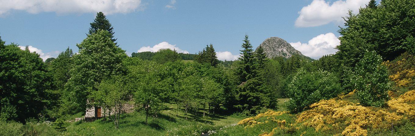 Trek - Monts et volcans d\'Ardèche
