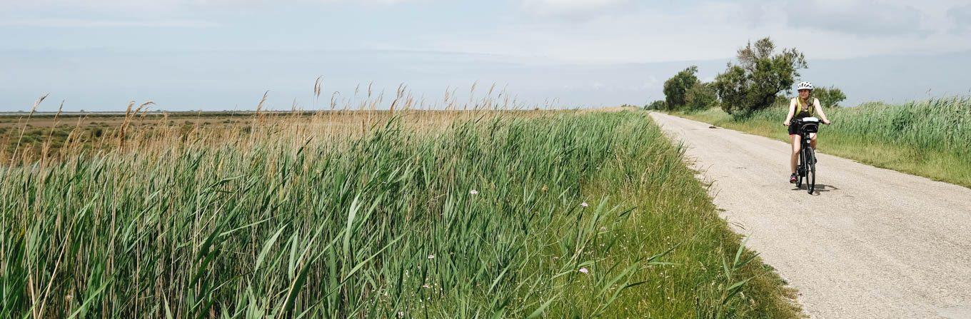 Voyage à vélo - Provence : La Camargue à vélo