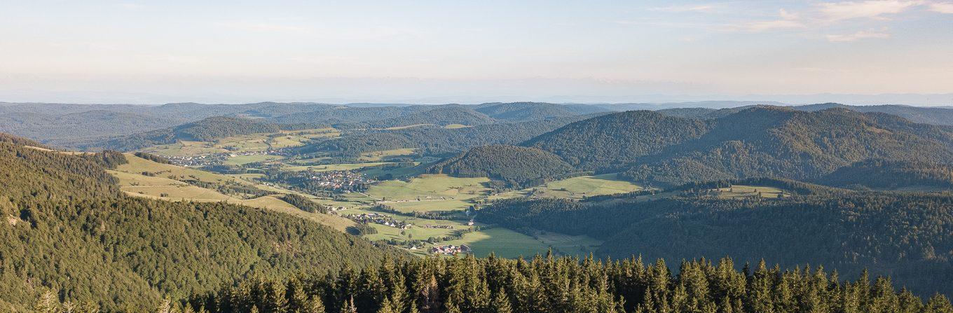 Trek - Rando verte en Forêt Noire