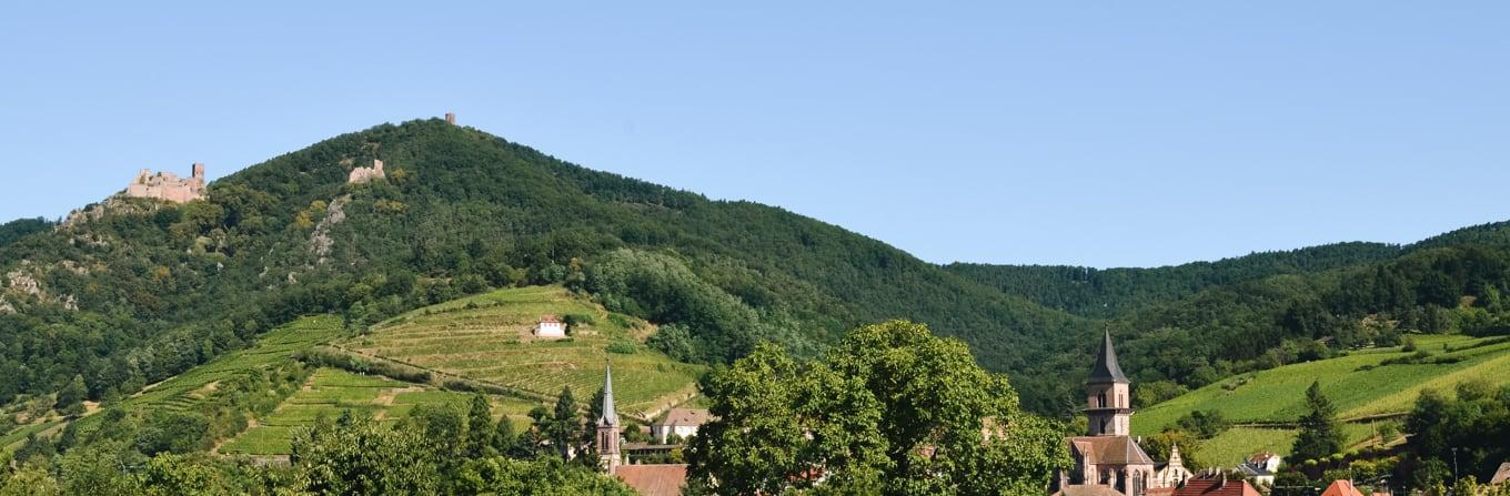 Trek - Haute Alsace romane