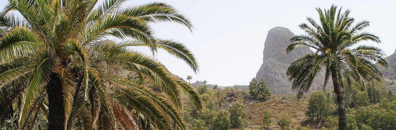 Trek - La Gomera et le Parc de Garajonay