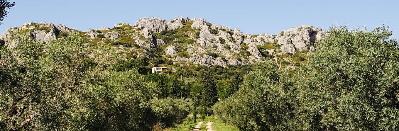 Voyage à pied : Provence : Les incontournables du Luberon