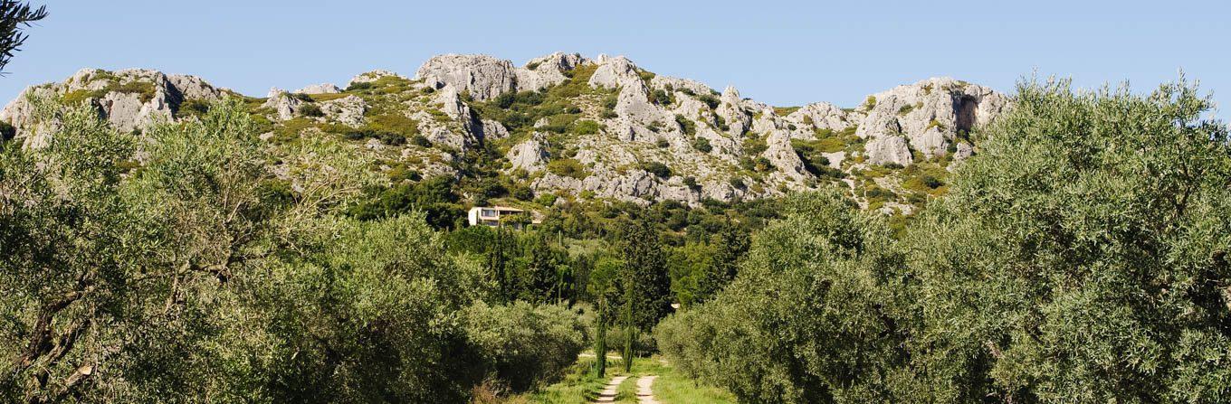 Trek - Les incontournables du Luberon