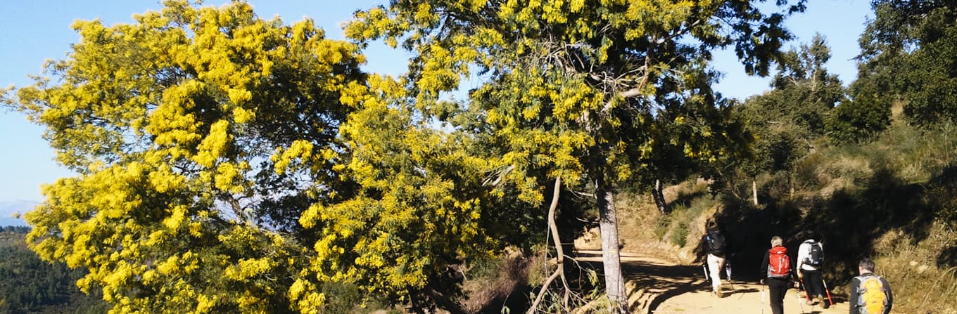 Voyage en Arctique - Provence : Marche nordique sur l\'Estérel