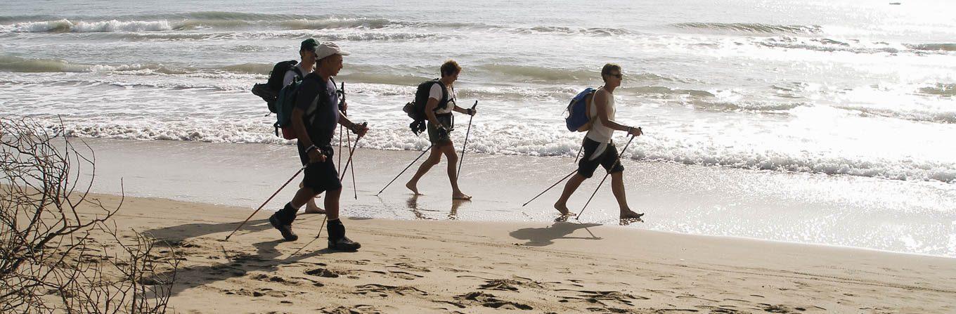 Voyage en Arctique - Provence : Marche nordique en Camargue