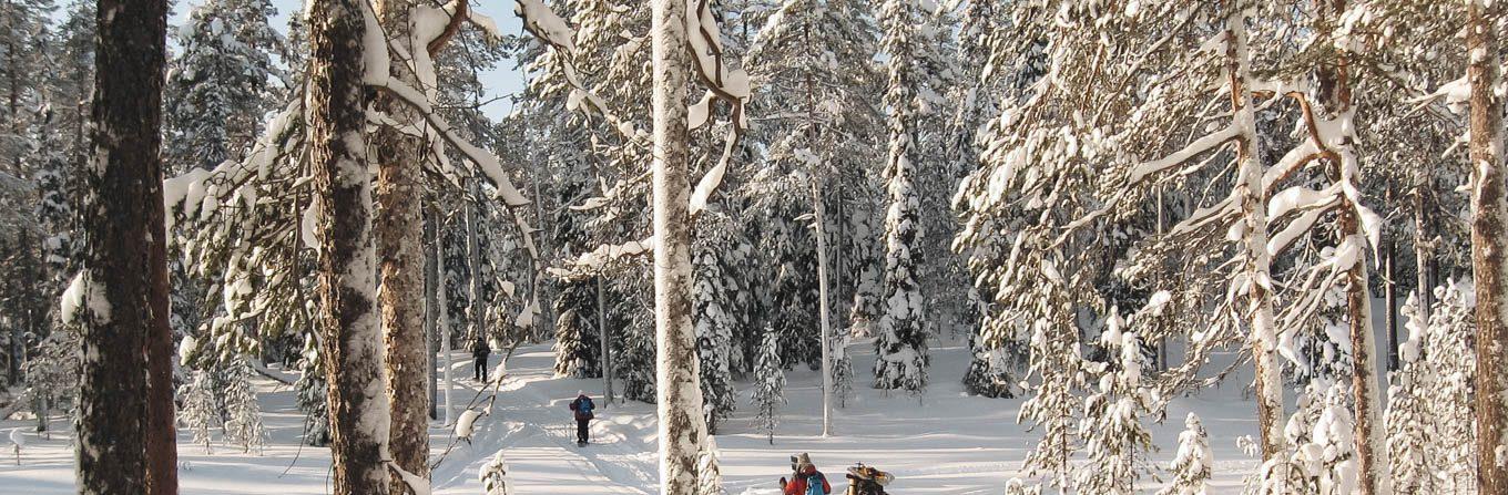 Voyage en raquette - Hors-piste dans le Parc national d\'Hossa en raquettes