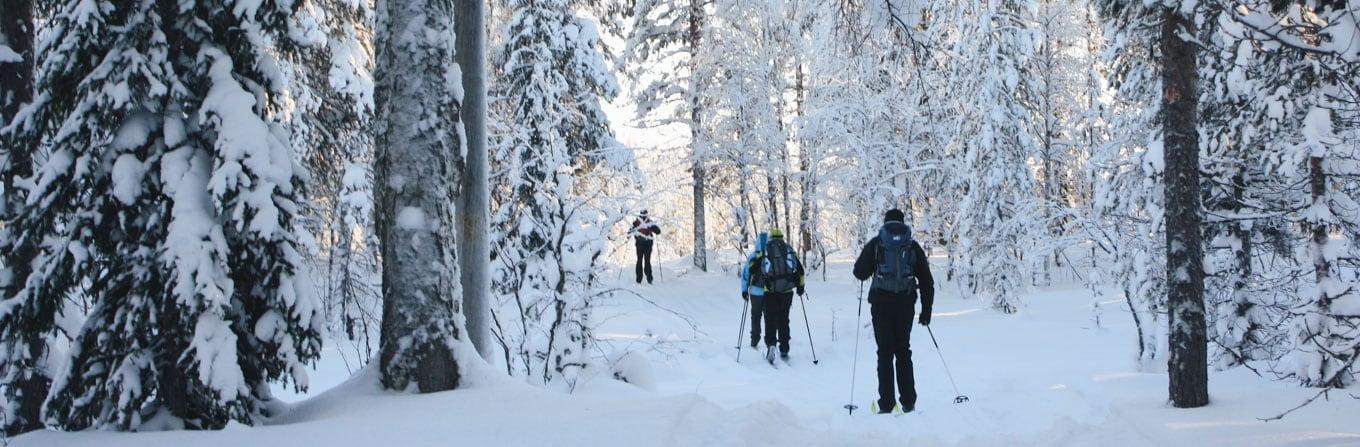 Voyage multi-activités - Ski nordique en Finlande