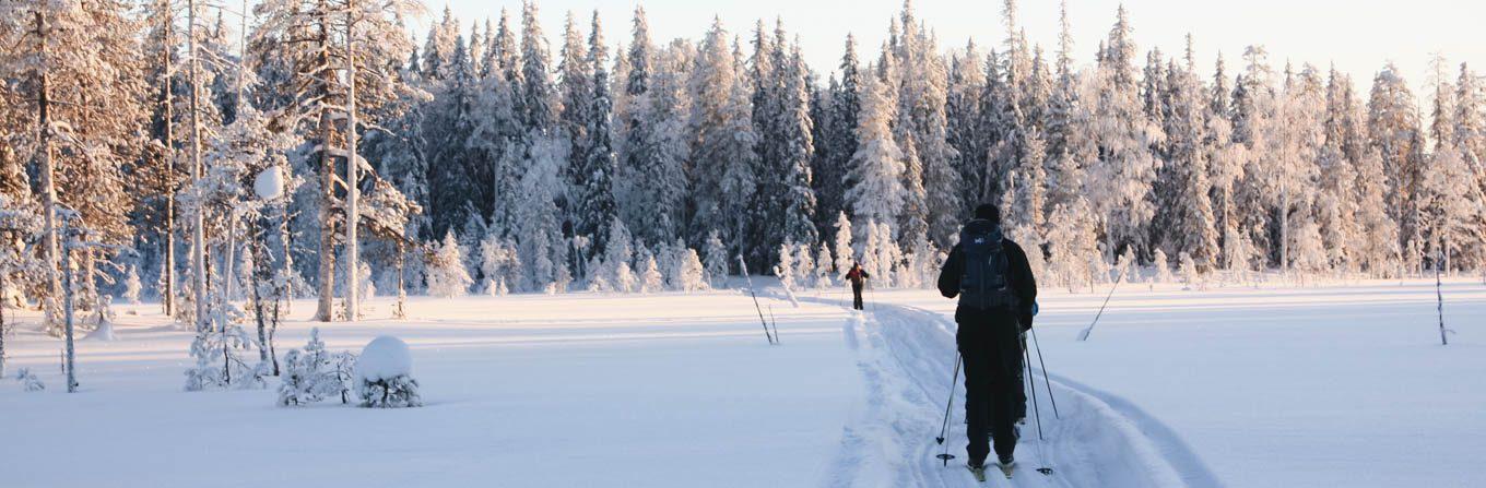 Voyage à la neige : Plaisirs d\'hiver en Finlande