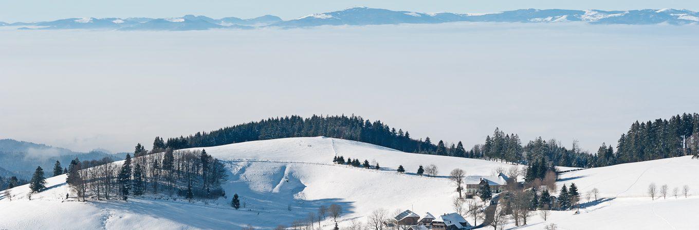 Voyage à la neige : Les Vosges à raquettes : ballons, lacs et forêts