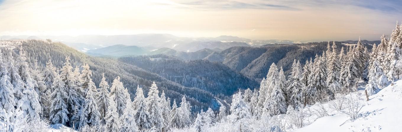 Voyage à la neige : Allemagne : Traversée de la Forêt Noire à raquettes