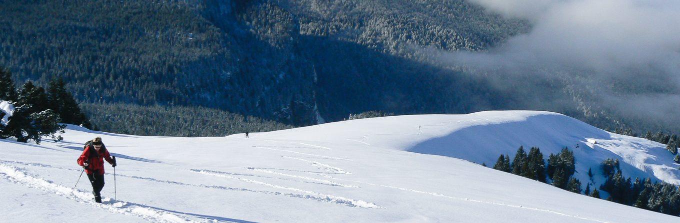 Voyage en raquette - Alpes du Nord : La Chartreuse en raquettes