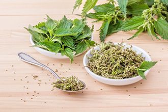 Recette de pesto aux orties - Adobestock