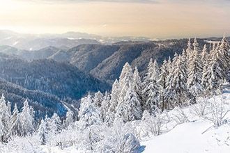 Raquettes dans la Forêt Noire en Allemagne - Adobestock