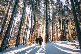 Randonnées en raquettes en forêt en France - AdobeStock