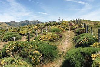 Randonnée sur le chemin de Stevenson, sur le Mont-Lozère
