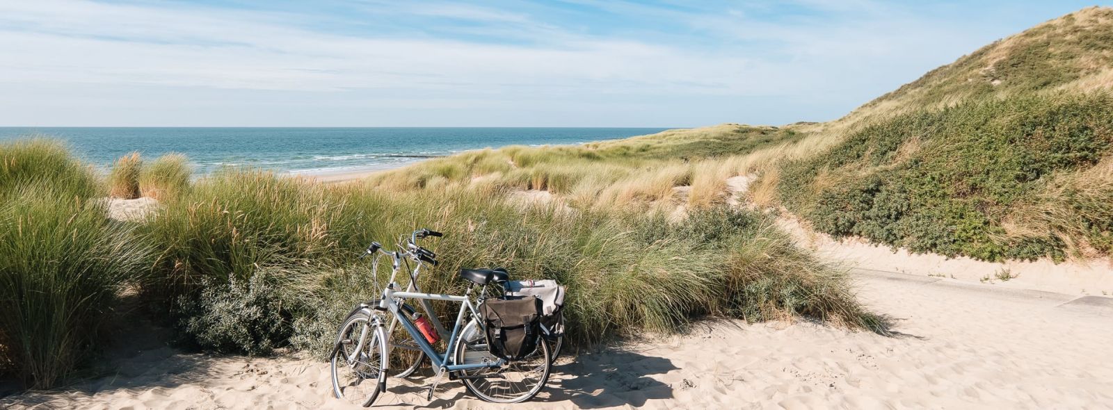 Vélo tous chemins deals