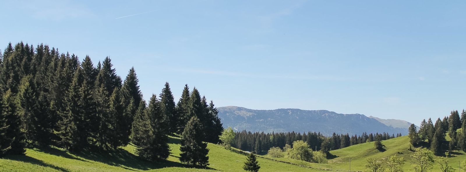 MCoppin Randonnée dans le Jura